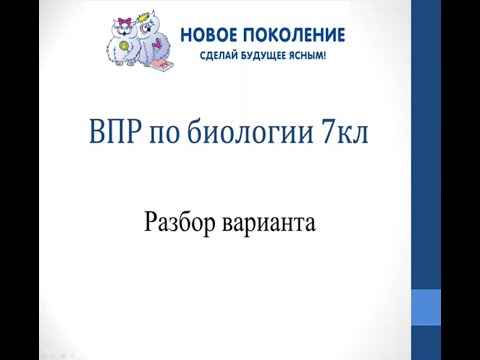 Видео: Биология. Разбор варианта ВПР по биологии 7 класс