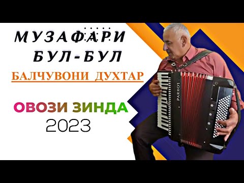 Видео: Музафари бул-бул Духтари Балчувони овози зинда 2023
