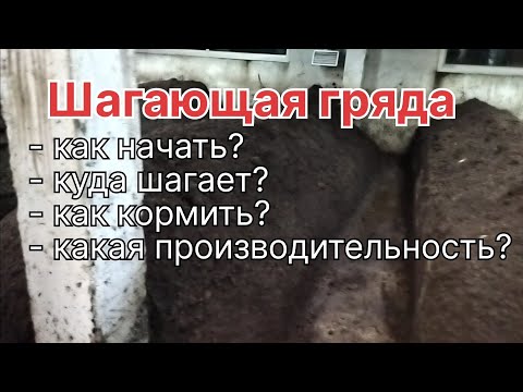 Видео: Технология "Шагающая гряда".