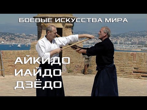 Видео: АЙКИДО, ИАЙДО, ДЗЁДО - ОБЩИЕ ПРИНЦИПЫ ЯПОНСКОГО БУДО. БОЕВЫЕ ИСКУССТВА МИРА. ✅ ЛЕРИНСКИЕ ОСТРОВА