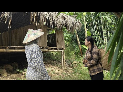 Видео: Секретарше Джека негде было остановиться, к счастью, добрая женщина предоставила ей заброшенный дом.