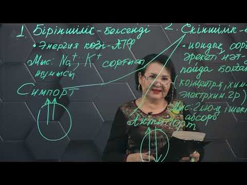 Видео: Жасуша мембранасы арқылы заттар тасымалдануының типтері. 3 бөлім. 11 сынып.