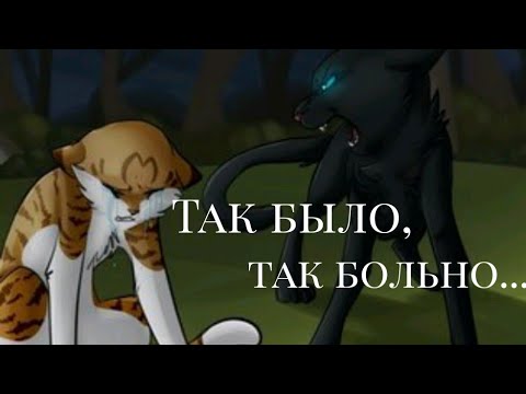 Видео: Коты Воители ~Листвичка и Грач~{так было, так больно}