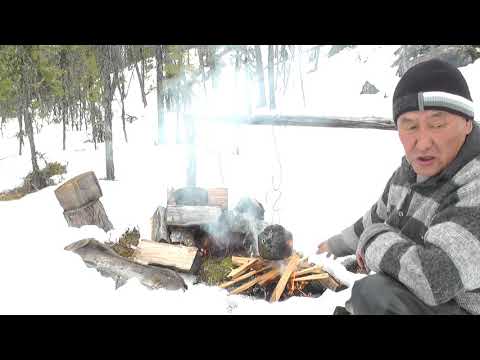 Видео: Мои будни в тайге