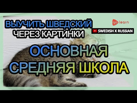 Видео: Выучить шведский через картинки |шведский словарь основная средняя школа | Golearn