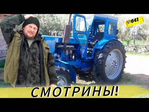 Видео: Смотрим трактор Т - 40. Жизнь и будни в Омской деревне.