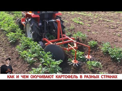 Видео: КАК И ЧЕМ ОКУЧИВАЮТ КАРТОФЕЛЬ В РАЗНЫХ СТРАНАХ МИРА / POTATO HILLING IN DIFFERENT COUNTRIES