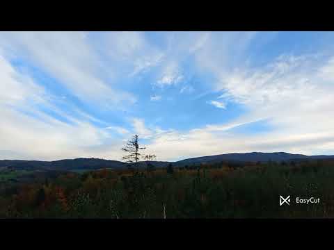 Видео: Мне уже не страшно. Гуляла и заблудилась.