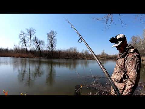 Видео: КАРАСЬ пошел на ФИДЕР!