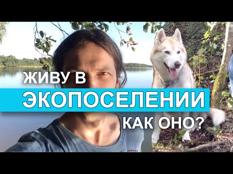 Видео: Экопоселение. Стоит ли?
