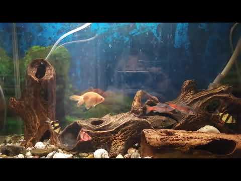 Видео: Хлопот добавилось.../Надо начинать новый процесс/Прогулка,вязание, покупки/