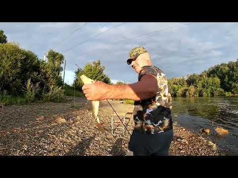 Видео: РЫБАЛКА С ОКСАНОЙ. РЕКА ИСЕТЬ .24.07.2024.