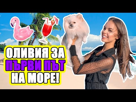 Видео: ВЛОГ: ОЛИВИЯ ЗА ПЪРВИ ПЪТ НА МОРЕ!  | ♡