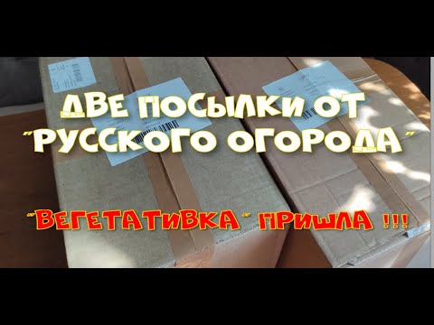Видео: 2 посылки от "Русского огорода". Пришла "вегетативка"!