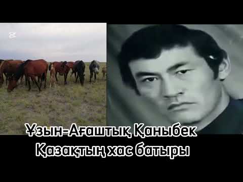 Видео: Ұзын-Ағаштық Қаныбек Қазақтың хас батыры