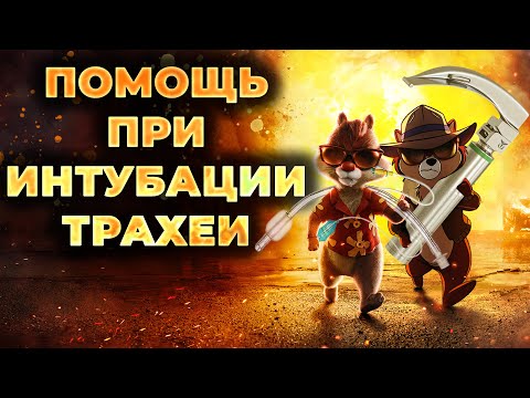 Видео: Интубация трахеи: помощь ассистента, советы и приёмы для облегчения процедуры #ПроСМП