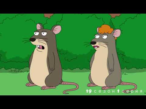 Видео: ГРИФФИНЫ ЛУЧШИЕ И СМЕШНЫЕ МОМЕНТЫ #7