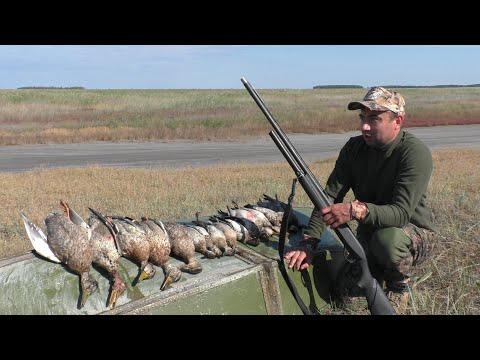 Видео: УТКА ПРЕТ не УСПЕВАЮ ПЕРЕЗАРЯДИТЬ И ПОДОБРАТЬ. Напряженное открытие осенней охоты на уток 2023 г.