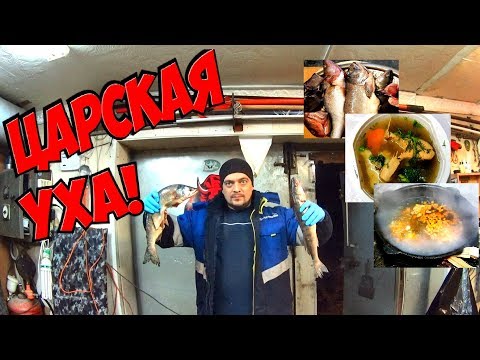 Видео: УХА по- царски ! рецепт ухи в казане на дровах!