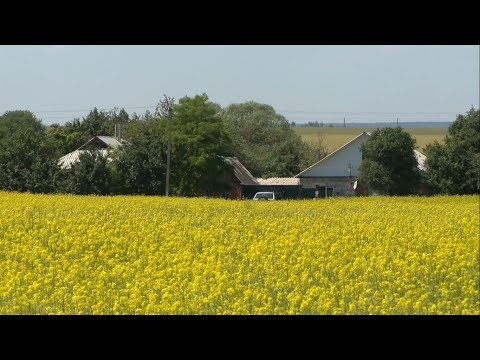 Видео: «Сельский порядок». Березовка Борисовского района (4.07.2018)