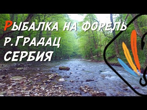 Видео: Рыбалка на форель в Сербии