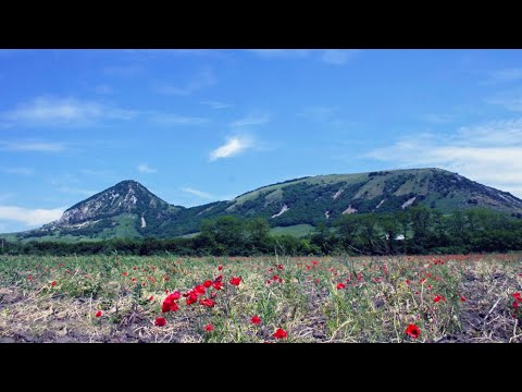 Видео: ТАИНСТВЕННАЯ ГОРА ВЕРБЛЮД
