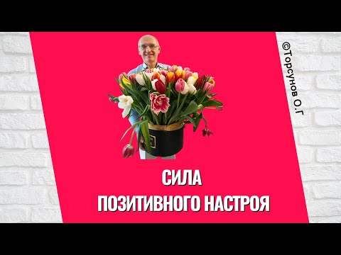 Видео: Сила позитивного настроя! Торсунов лекции