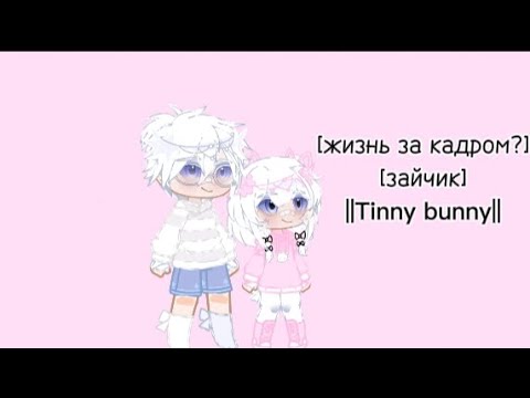 Видео: [жизнь за кадром зайчик] ||Tinny bunny||
