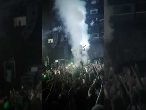 Видео: ПОШЛАЯ МОЛЛИ - 24/02/2020 - ВОРОНЕЖ /Беспечный рыцарь тьмы/