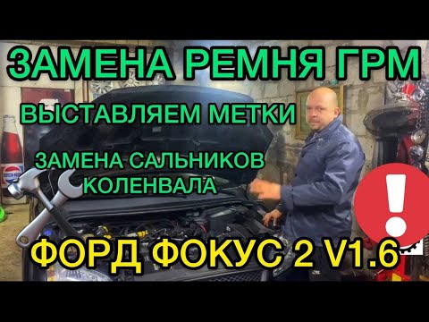 Видео: Замена ремня ГРМ Ford Focus 2 1,6 метки Грм / Меняем сальник коленвала Форд Фокус 2