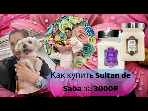 Видео: Как купить Sultan de Saba за 3000 рублей. Прививка Маняши и мои мамские будни