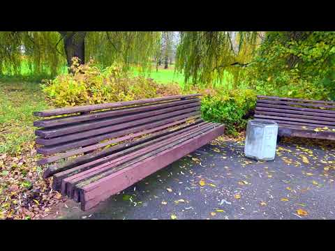 Видео: осенняя пора очей, очарованье