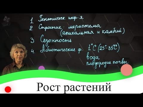 Видео: Рост растений. 7 класс.