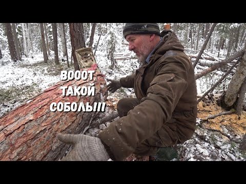 Видео: ВТОРАЯ ПРОВЕРКА ПРОДОЛЖАЕТСЯ.