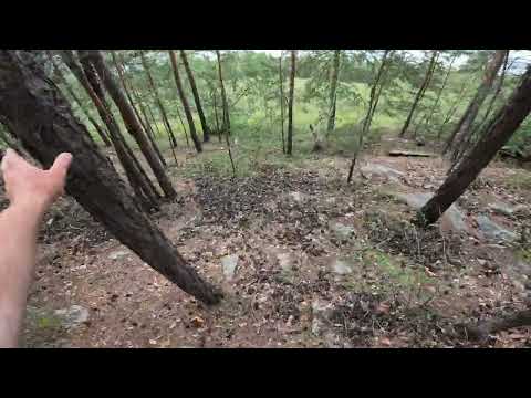 Видео: небольшой поход в горы,  база отдыха Аюда, бухтарма