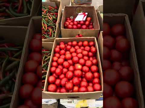 Видео: Шувар овочі огляд цін на ринку 08.11.25