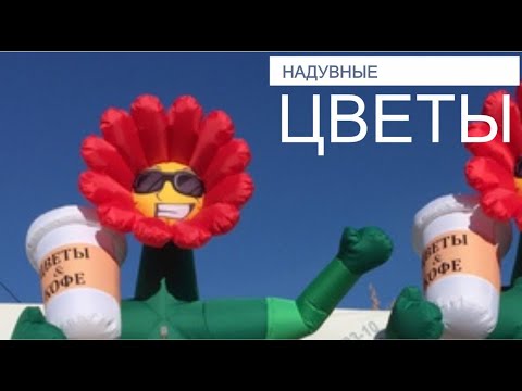 Видео: Надувные цветы. Цены от производителя