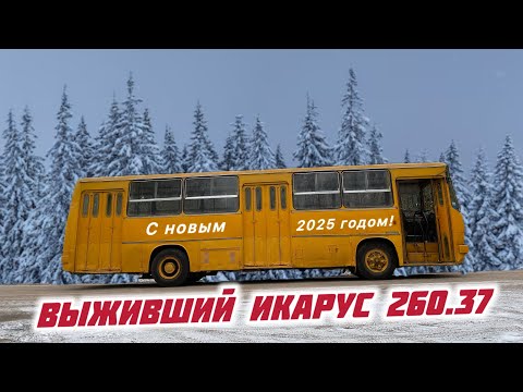 Видео: Сложный перегон и обзор настоящего Икаруса 260.37 1985 года.