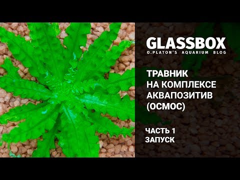 Видео: 1 - Травник на комплексе "Аквапозитив" (ОСМОС) - запуск