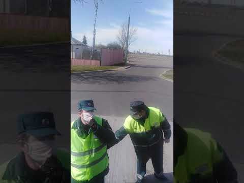 Видео: Транспортная инспекция Жабинка.