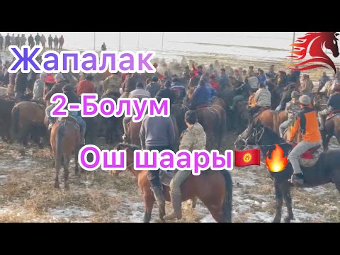 Видео: 2-Болум Жапалак айылы, Ош шаары🇰🇬🔥Тологон аке берген аламан улак.