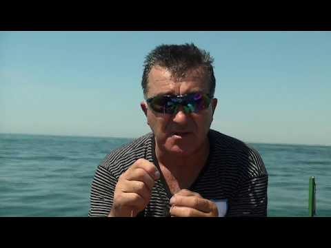 Видео: Мировая рыбалка. Сезон 1. Ловля сома на Капчагайском водохранилище