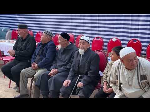 Видео: 10 октября 2025 г.
