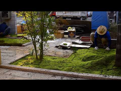 Видео: Сила Мха в Японском Садовом Дизайне