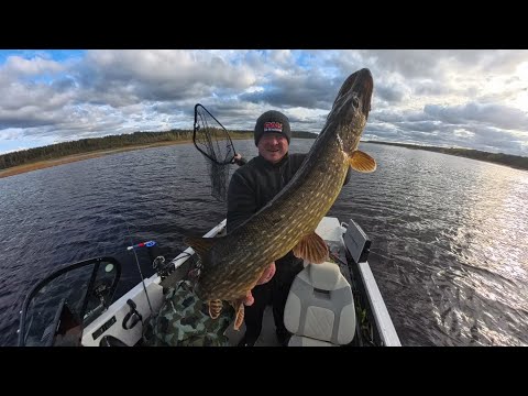 Видео: Наше 2 е место!Плюсский хищник 2025.Было не просто!