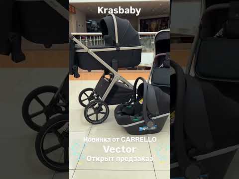 Видео: 💥CARRELLO VECTOR 2025💥🔥2в1-54500₽🔥🔥3в1-66000₽🔥🔥Предзаказ!!! #krasbaby #carrello