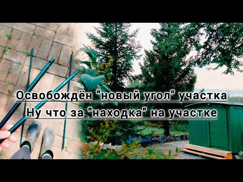 Видео: КУПИЛИ ЗАБРОШЕННУЮ ДАЧУ И ЗА 2,5 МЕСЯЦА ПРИВЕЛИ В ПОРЯДОК, ИДЁМ К ЦЕЛИ "ДАЧА МЕЧТЫ" 