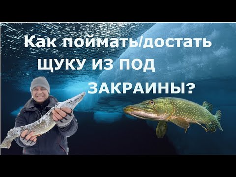 Видео: Щука ЗАВЕЛА под закраину. ЧТО ДЕЛАТЬ?