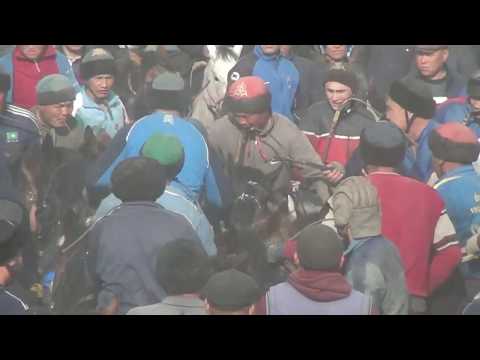 Видео: Көкпар Мақтаарал, Досжан ағамыздың бата алу көкпар тойы 09.03.2019 ж. 2-бөлім.