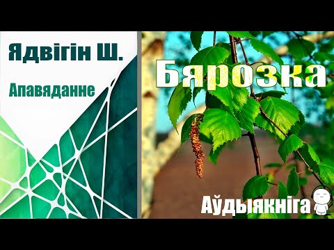 Видео: Бярозка - Апавяданне / Ядвігін Ш. / Аўдыякгіга